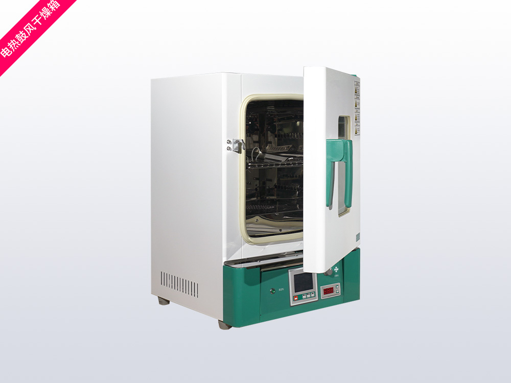 电热鼓风干燥箱