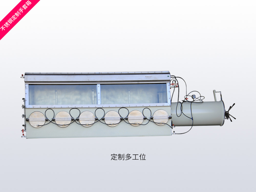 定制不锈钢多工位手套箱